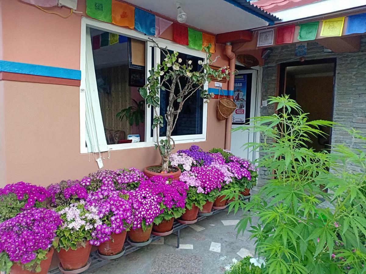 Little Pilgrim Lodge Pokhara Eksteriør billede